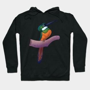 Rufous-tailed jacamar Hoodie